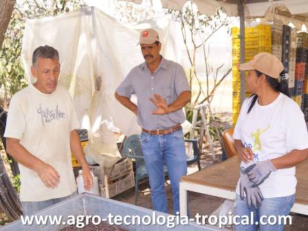 Carlos Medrano recibe asistencia tecnica sobre formas de mejorar sus semilleros